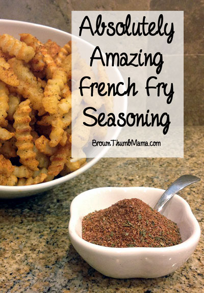 Get Awesome Flavor With This Easy French Fry Seasoning Brown Thumb Mama