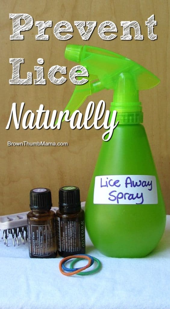 How To Prevent Lice Naturally Brown Thumb Mama