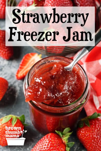 The BEST Strawberry Freezer Jam - Garnish & Glaze