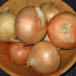 bowl of onions
