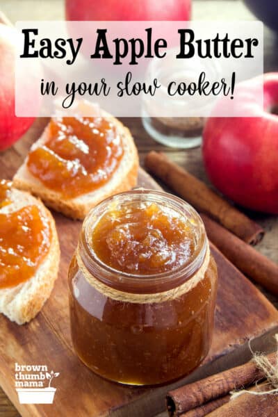 apple butter and toast