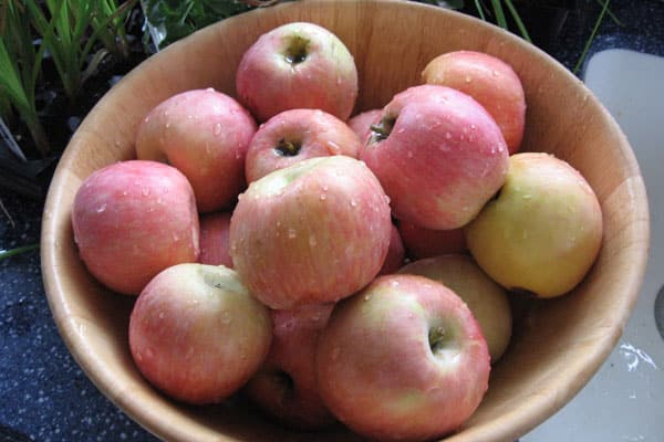 Crock Pot Apple Butter: BrownThumbMama.com