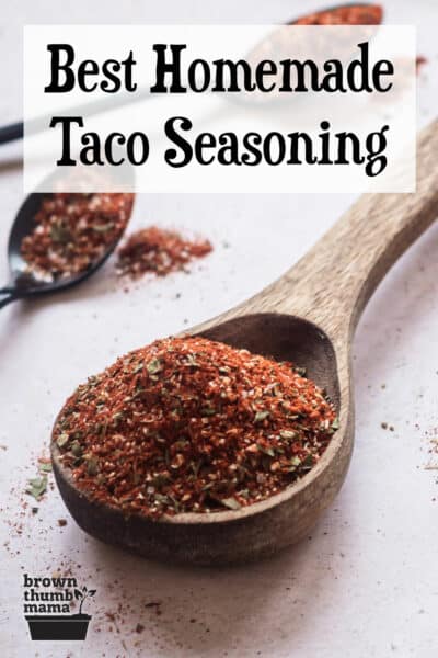 wooden spoon full of homemade taco seasoning