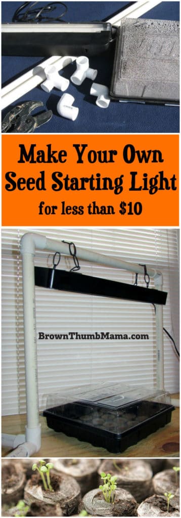 best light for seed starting