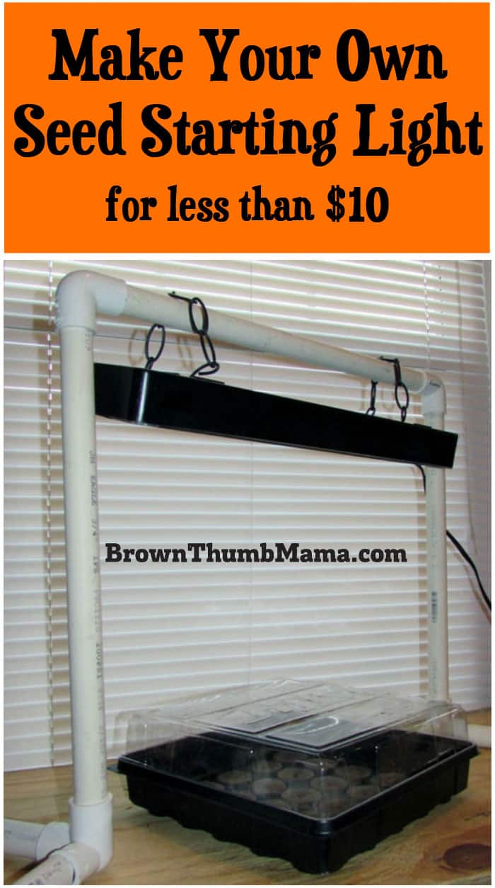 DIY Seed Starting Light Brown Thumb Mama®