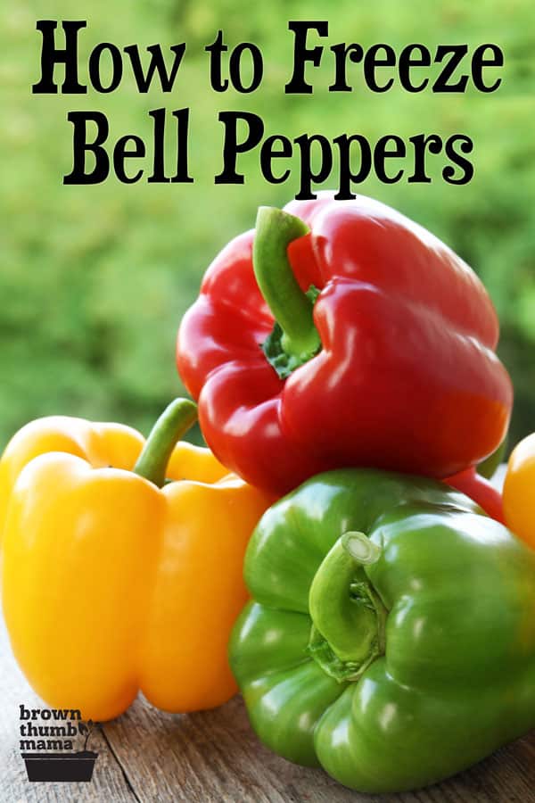How to Freeze Bell Peppers Brown Thumb Mama®