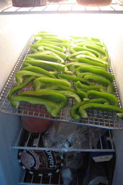 pepper strips in freezer
