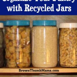 pantry full of recycled jars of bulk foods