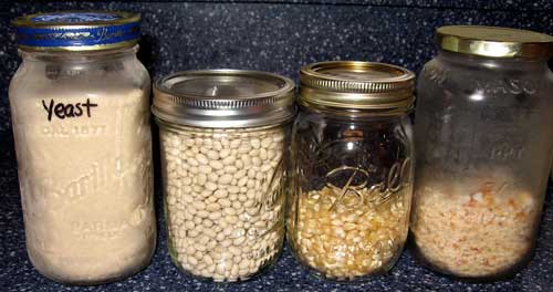 glass jars full of bulk foods