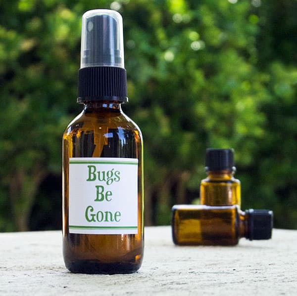 Bugs-Be-Gone Spray - Natural Bug Repellant | DEET + Citronella- Free