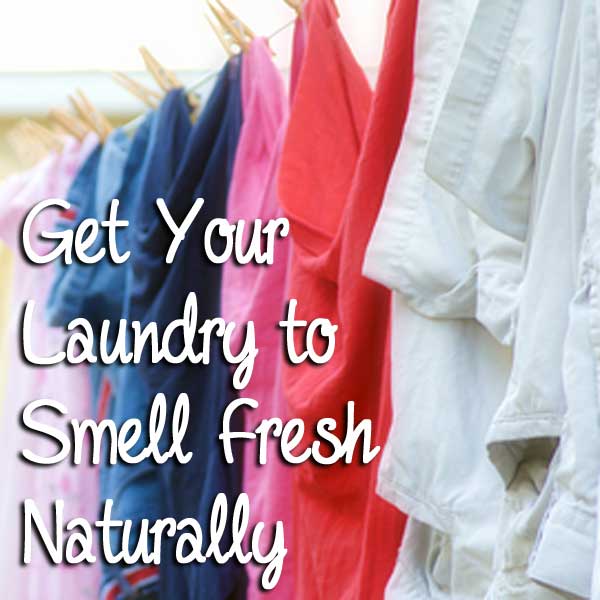 Get Your Laundry to Smell Fresh Naturally • Brown Thumb Mama