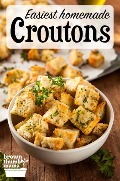 croutons in bowl