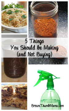 5 Things You Should Be Making (Not Buying): BrownThumbMama.com