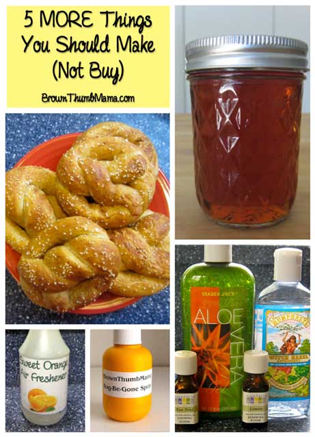 5 MORE Things You Should Make (Not Buy): BrownThumbMama.com