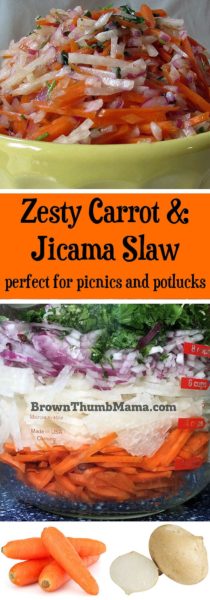 I'm crazy for the zesty flavors in this refreshing side dish! Kids love Carrot & Jicama Slaw and it's perfect with chicken or burgers. Dairy & gluten free.