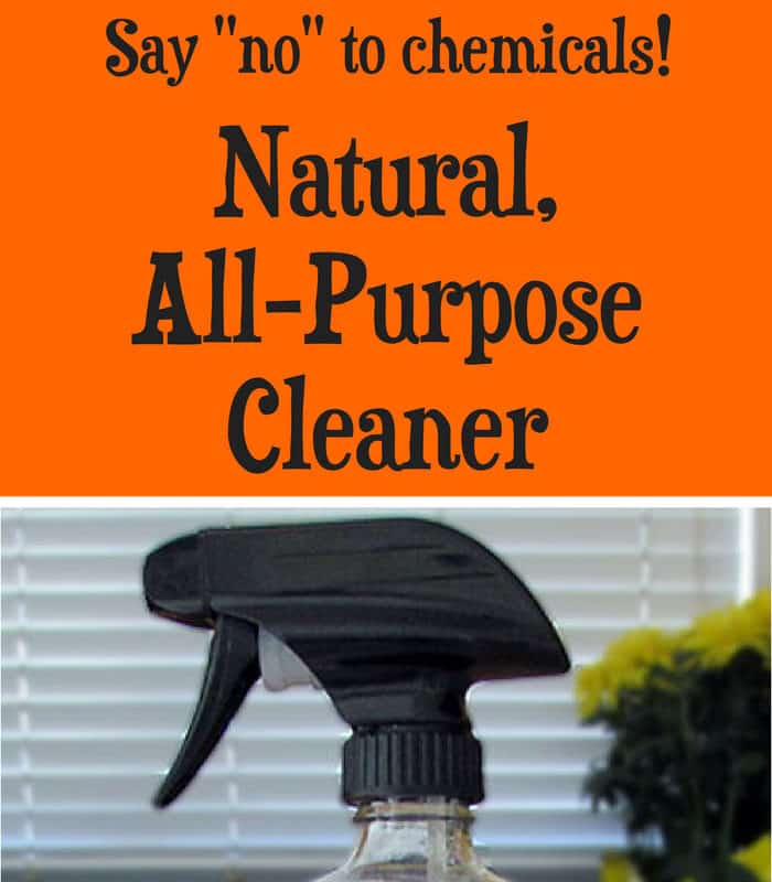 DIY Natural Cleaners Archives • Brown Thumb Mama