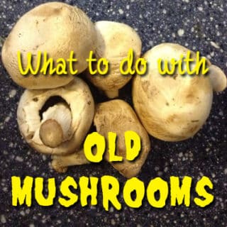 How to Make Mushroom Broth - Brown Thumb Mama®