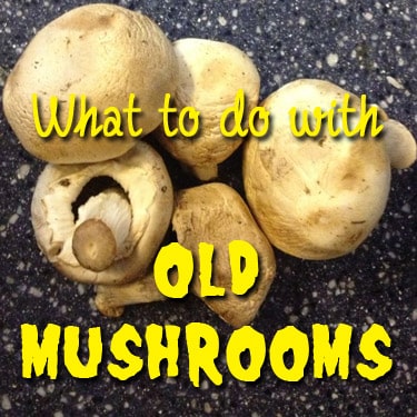 What to do with old mushrooms