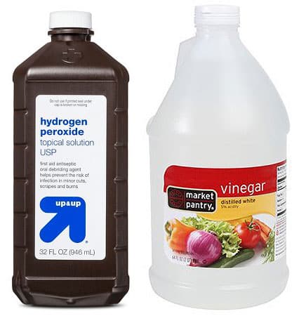 hydrogen peroxide and white vinegar bottles