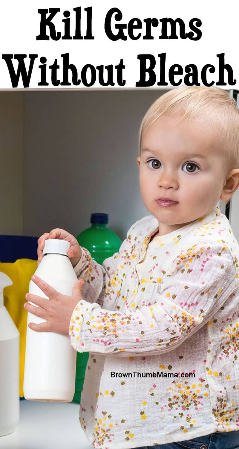 Kill Germs Safely Without Bleach • Brown Thumb Mama