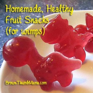 Healthy, homemade fruit snacks: BrownThumbMama.com