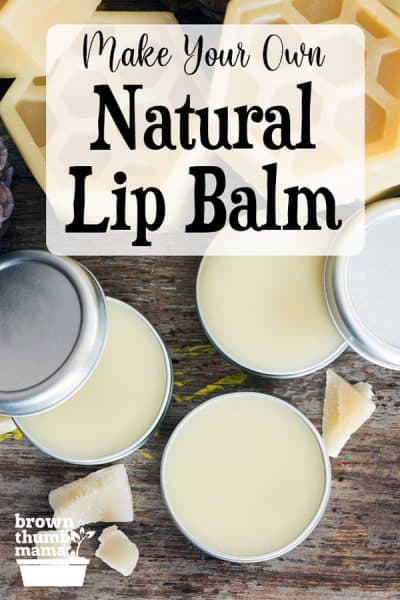 tins of lip balm on table