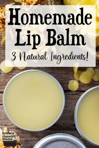 How to Make Natural Lip Balm - Brown Thumb Mama®