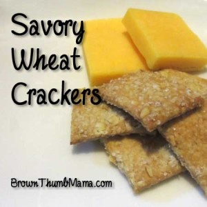 Savory Wheat Crackers: BrownThumbMama.com