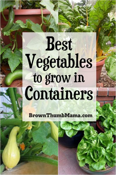 You can grow vegetables in containers