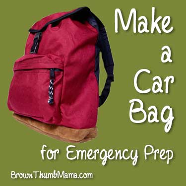 Make a Car Bag for Emergency Preparedness: BrownThumbMama.com