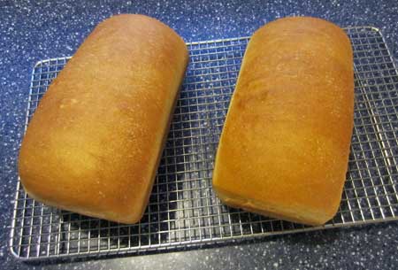 two loaves of sandwich bread cooling on tray