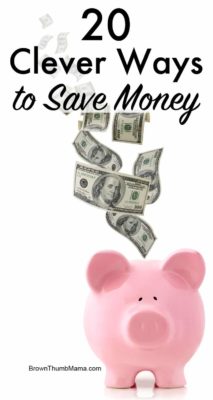 20 Clever Ways to Save Money: BrownThumbMama.com