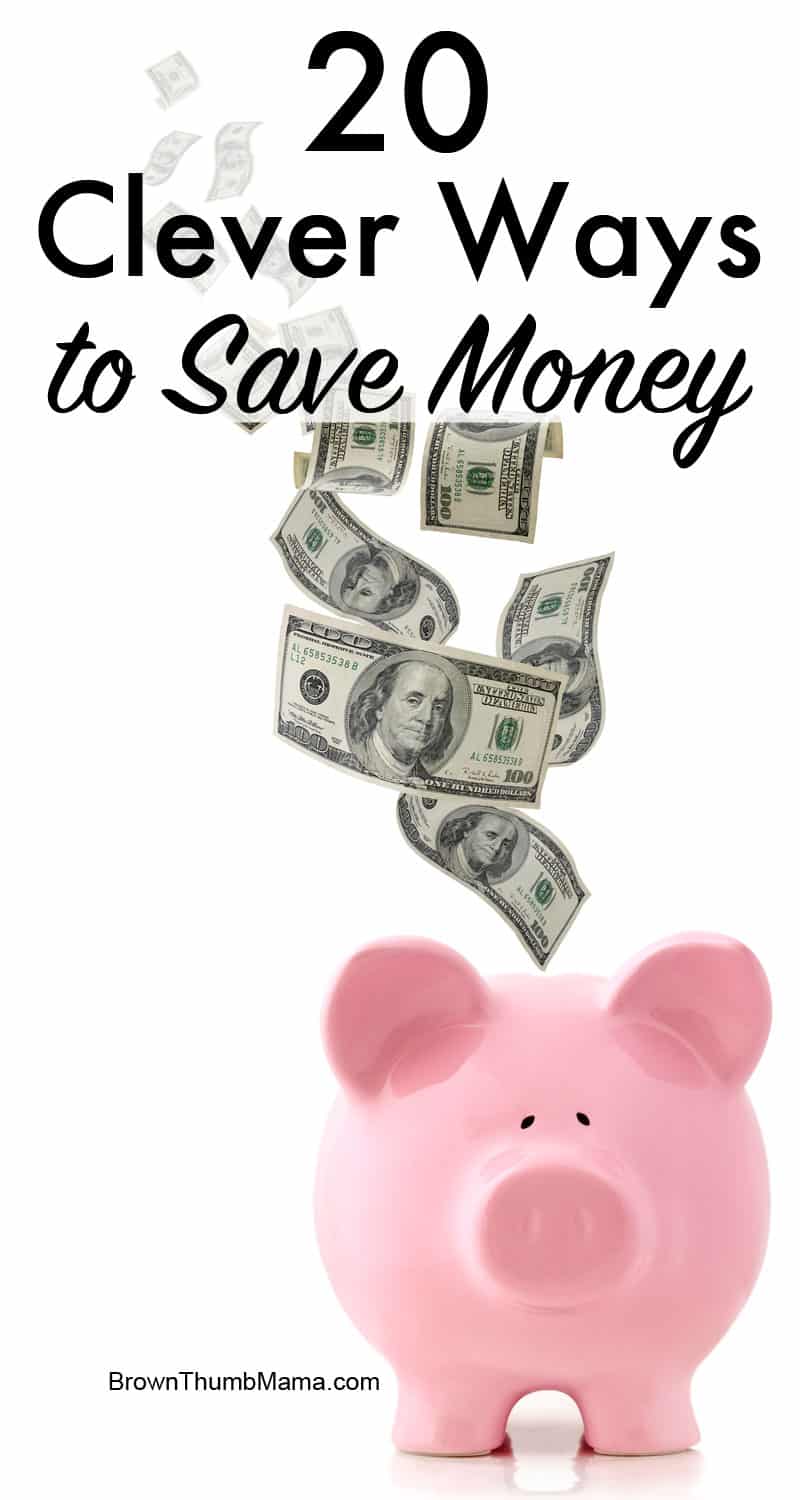 20 Clever Ways to Save Money Brown Thumb Mama