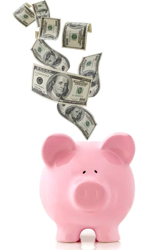20 Clever Ways to Save Money - Brown Thumb Mama®