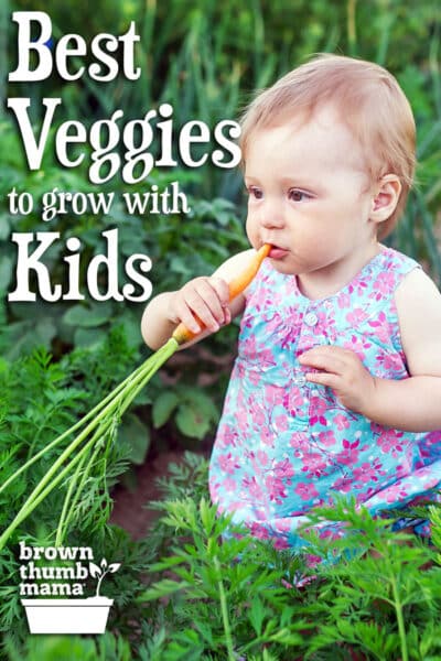 baby eating carrot in garden