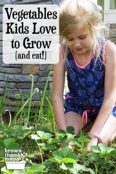 girl planting strawberries