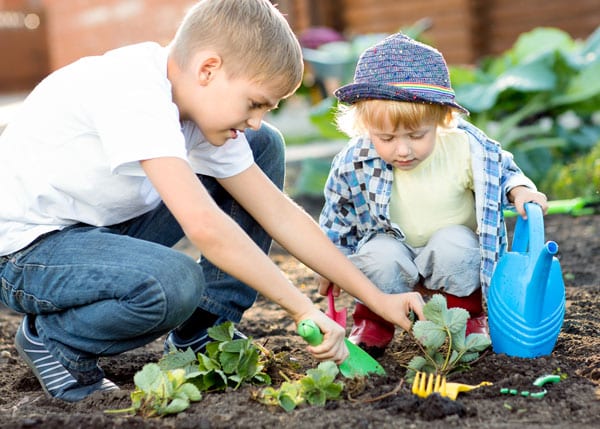 kids planting strawberries