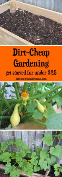 Start A Vegetable Garden for $25 - Brown Thumb Mama®