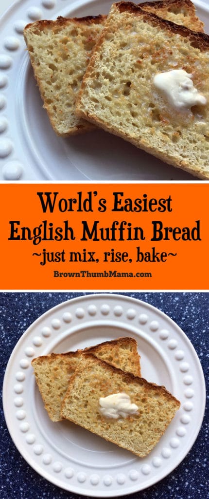 No-Knead English Muffin Bread - Brown Thumb Mama®