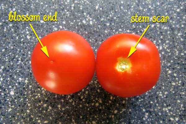 How to wash tomatoes: BrownThumbMama.com