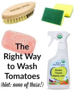 How to wash tomatoes: BrownThumbMama.com