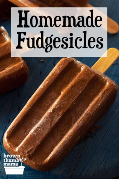 homemade fudgesicles