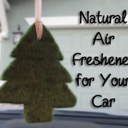 Natural Car Air Freshener: BrownThumbMama.com