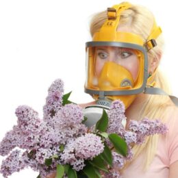 woman wearing mask carrying lilacs