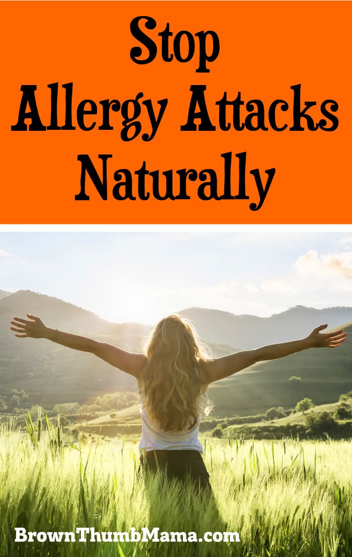 Stop an Allergy Attack Naturally • Brown Thumb Mama