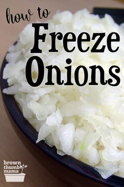 How to Freeze Onions - Brown Thumb Mama®