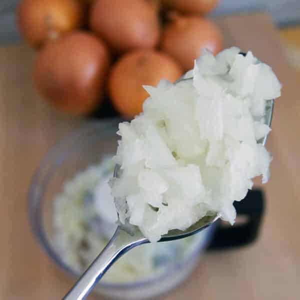 spoon full of chopped onions