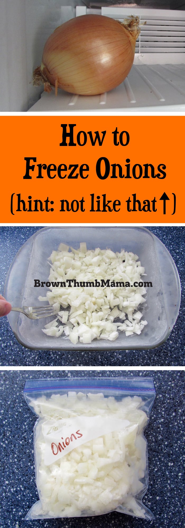 How to Freeze Onions Brown Thumb Mama