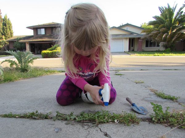 little girl sprays weeds on driveway