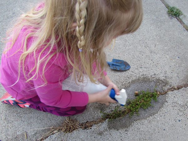 little girl spraying weeds in sidewalk